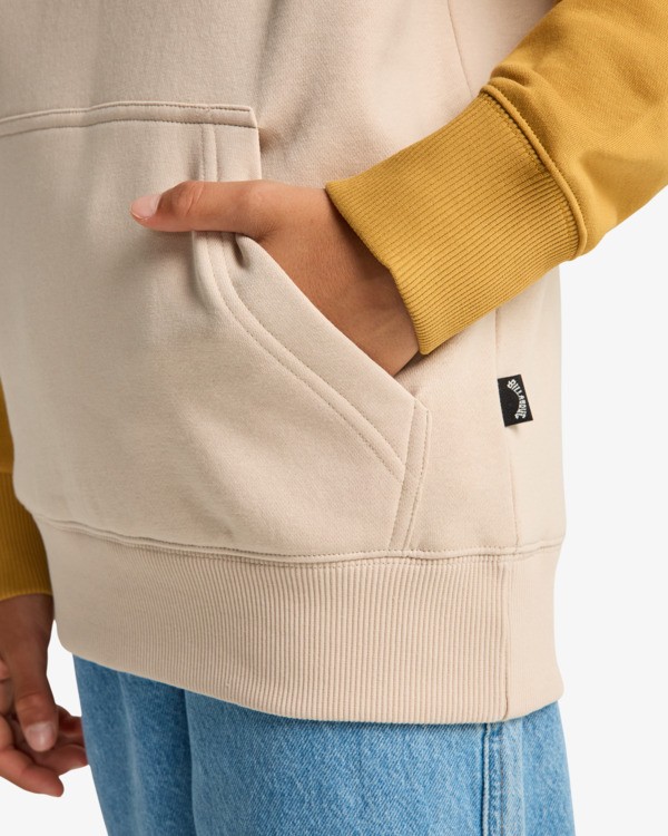 5 Arch Block Po - Sudadera con capucha para chicos 8-16 Beige EBBFT00124 Billabong