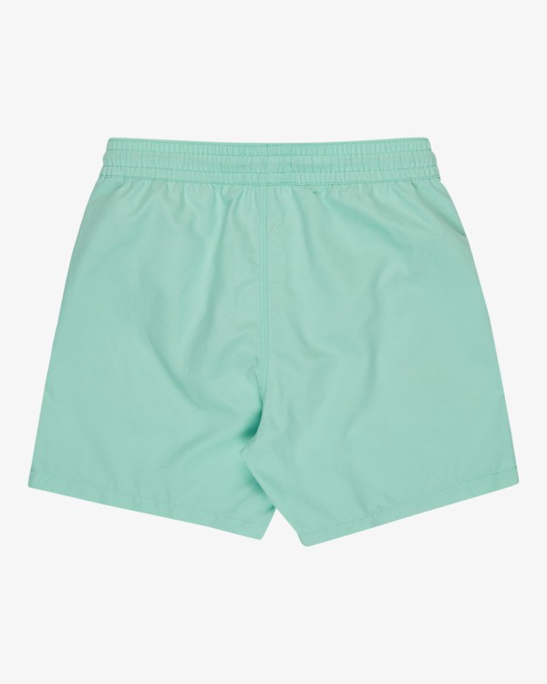 1 All Day Layback 14" - Cal&ccedil;&otilde;es de banho para Rapazes 8-16 Verde EBBJV00115 Billabong