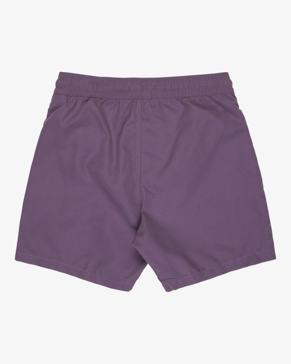 1 All Day Layback 14" - Cal&ccedil;&otilde;es de banho para Rapazes 8-16 Roxo EBBJV00115 Billabong