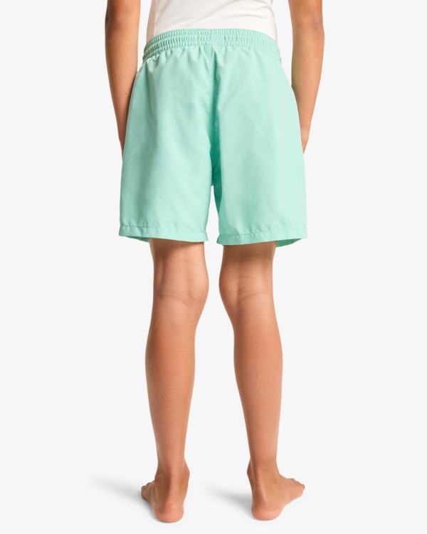 4 All Day Layback 14" - Cal&ccedil;&otilde;es de banho para Rapazes 8-16 Verde EBBJV00115 Billabong