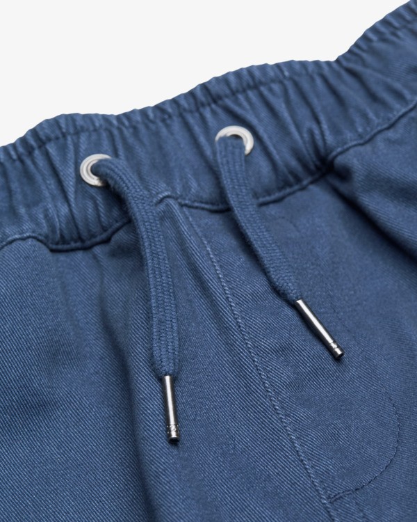 6 Larry Cargo Blue EBBNP03007 Billabong