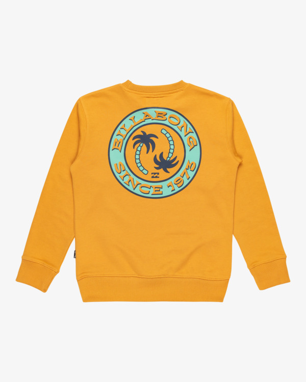 1 Foundation - Felpa pullover da Ragazzo 8-16 Yellow EBBSF00126 Billabong