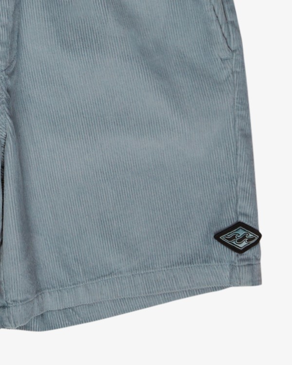 2 Larry Blue EBBWS00112 Billabong