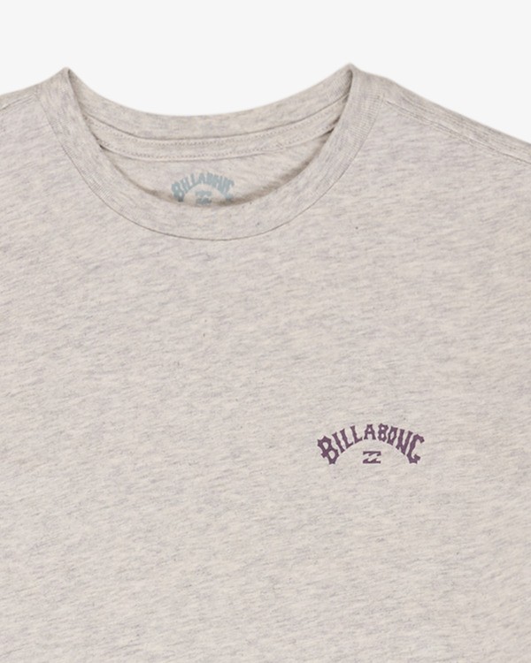 2 Arch Wave - Camiseta de manga corta para chicos 8-16 Gris EBBZT00101 Billabong