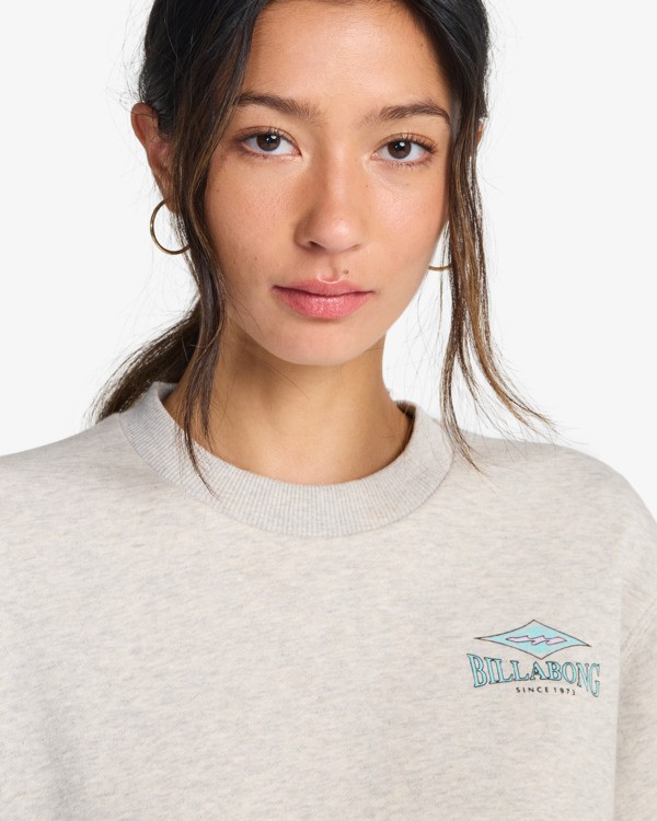 4 Chasing Horizons - Sweat pour Femme Gris EBJFT00171 Billabong