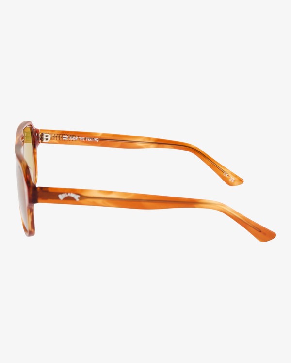 3 Northy - Sunglasses for Men Brown EBYEY03025 Billabong