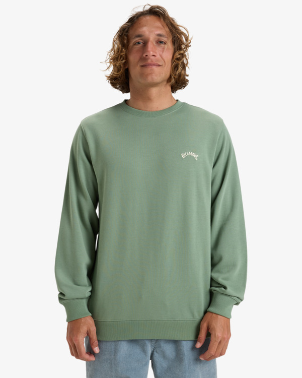 0 Arch - Sweat pour Homme Vert EBYFT00131 Billabong