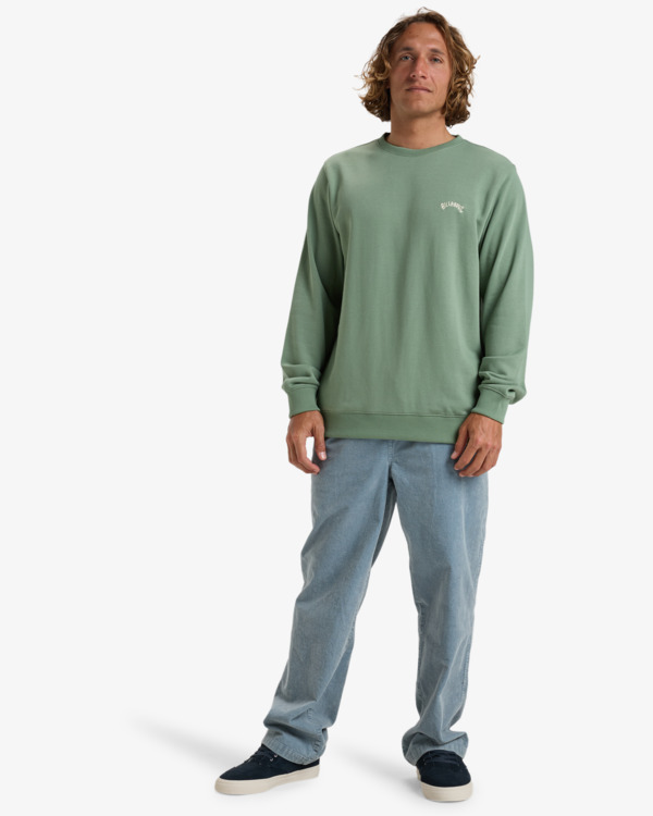 1 Arch - Sweat pour Homme Vert EBYFT00131 Billabong