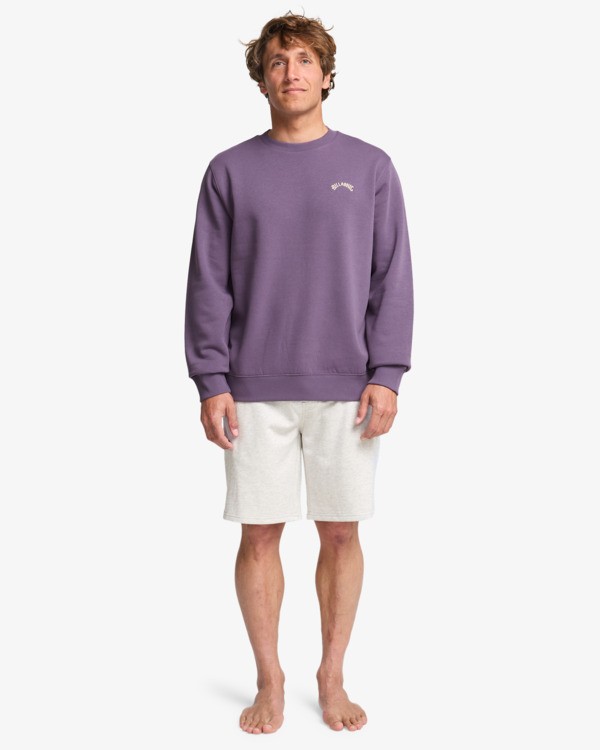1 Arch Cr - Rundhals-Sweatshirt für Männer Violett EBYFT00146 Billabong