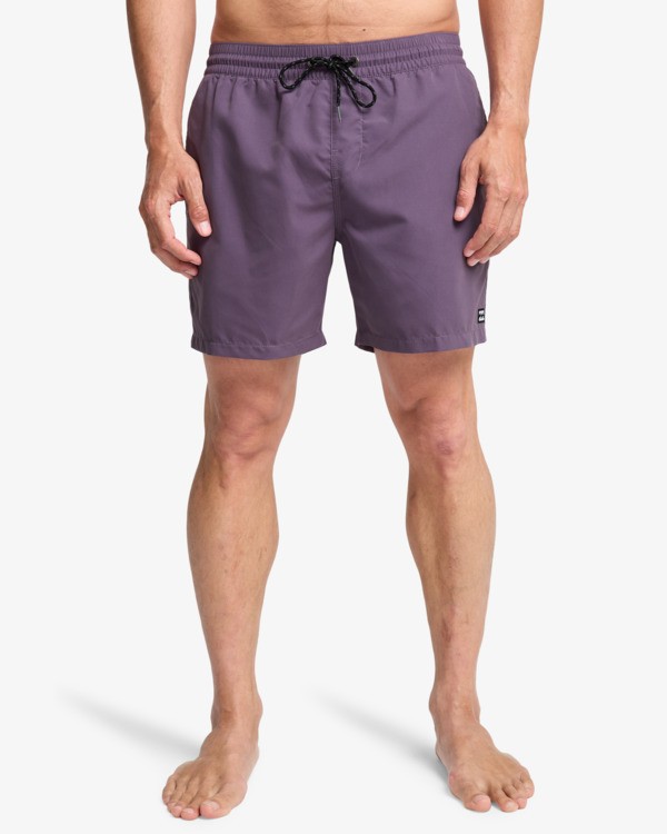 2 All Day 16" - Layback Swim Shorts for Men Purple EBYJV00134 Billabong