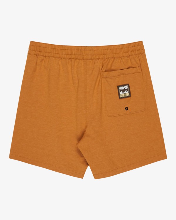 1 Every Other Day 17"- Layback Schwimmshorts f&uuml;r M&auml;nner Braun EBYJV00145 Billabong