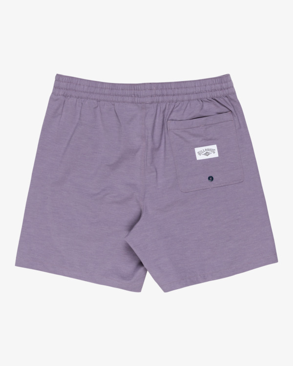 1 Every Other Day - Swim Shorts for Men Purple EBYJV00145 Billabong