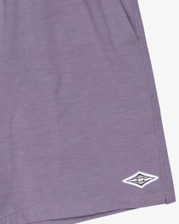 2 Every Other Day 17"- Layback Swim Shorts for Men Purple EBYJV00145 Billabong