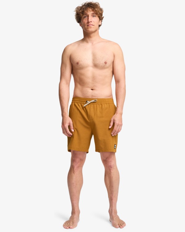 3 Every Other Day 17"- Layback Schwimmshorts f&uuml;r M&auml;nner Braun EBYJV00145 Billabong