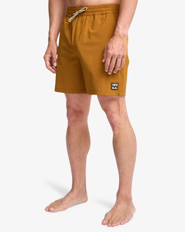 5 Every Other Day 17"- Layback Schwimmshorts f&uuml;r M&auml;nner Braun EBYJV00145 Billabong