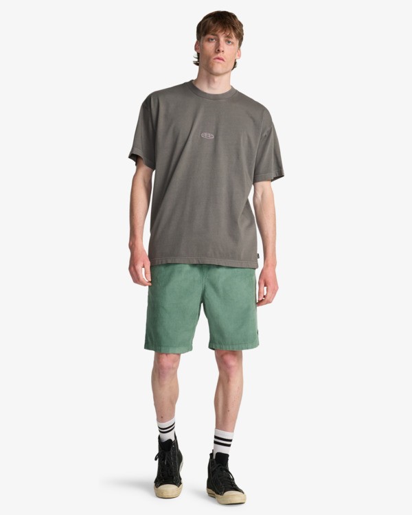 1 Og Wave Wave Washed - T-Shirt &agrave; manches courtes pour Homme Gris EBYKT00113 Billabong