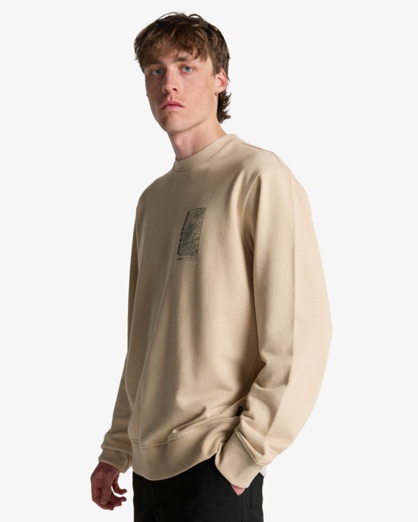 3 Compass - Sweat pour Homme Beige EBYSF00181 Billabong