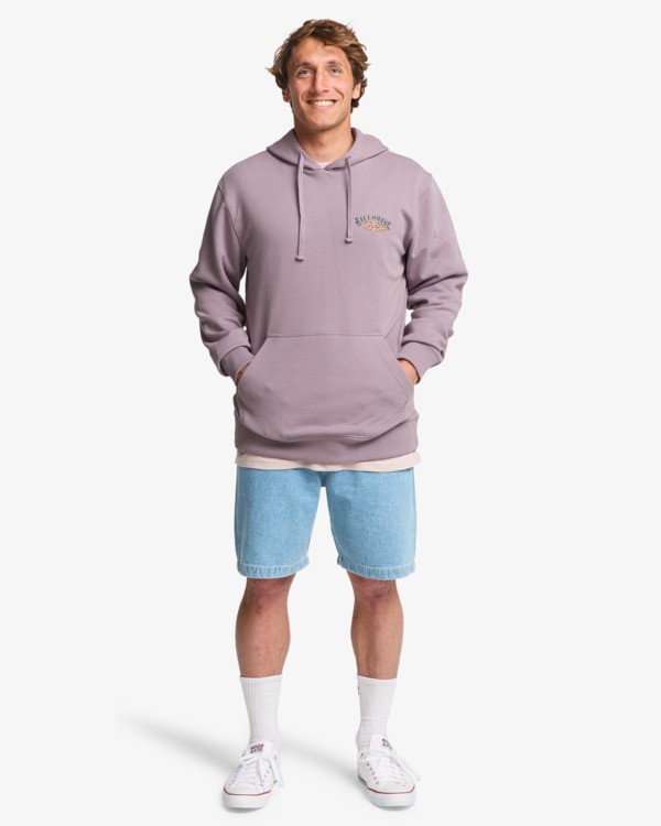 1 Foundation - Sweat &agrave; capuche pour Homme Violet EBYSF00184 Billabong