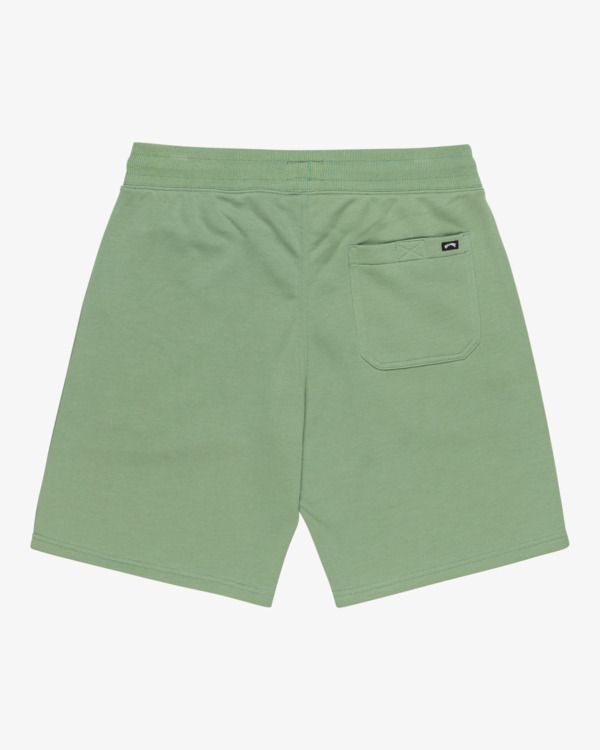 5 Arch 19" - Elastic Waist Walkshorts for Men Green EBYWS00112 Billabong