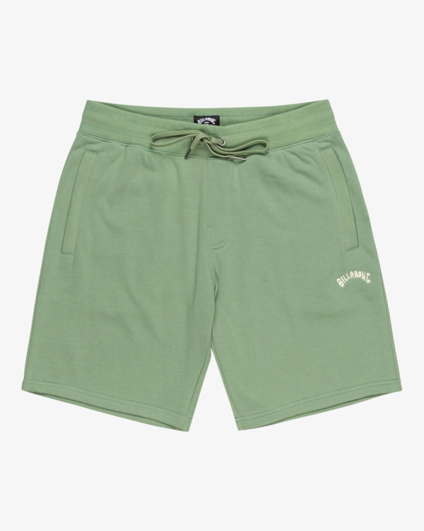 4 Arch 19" - Elastic Waist Walkshorts for Men Green EBYWS00112 Billabong