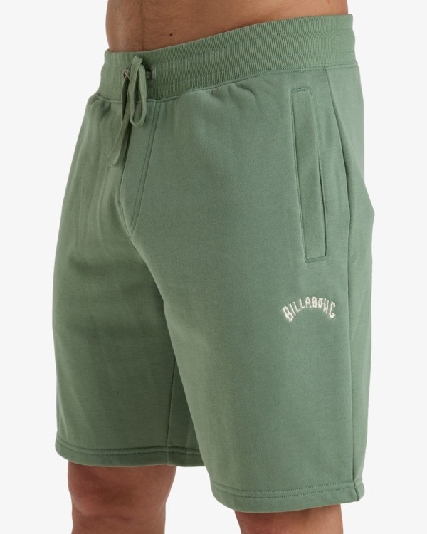 5 Arch 19" Green EBYWS00112 Billabong