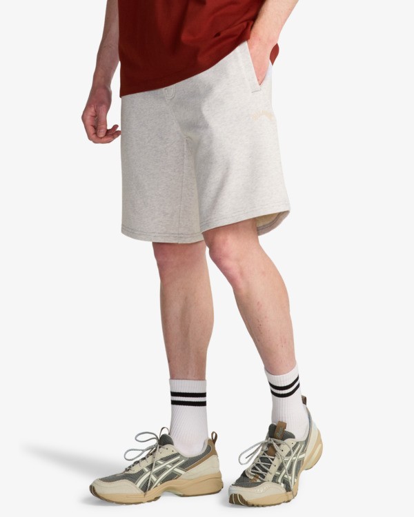 1 Arch 19" - Elastic Waist Walkshorts for Men Grey EBYWS00112 Billabong