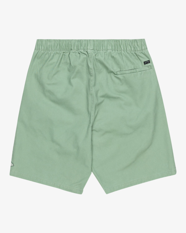 5 Larry 20" - Short de marche à taille élastique pour Homme Vert EBYWS00114 Billabong