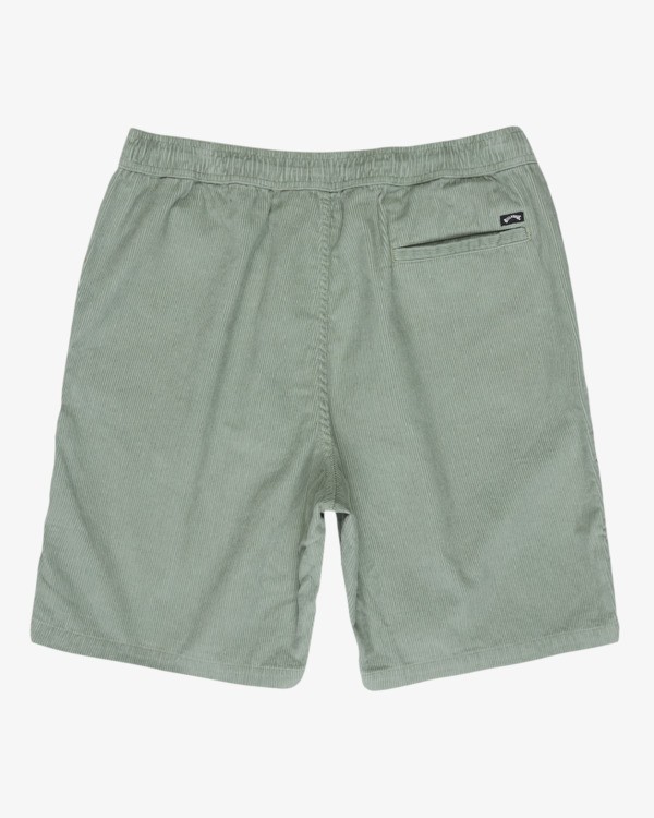 1 Larry 20" Green EBYWS00128 Billabong