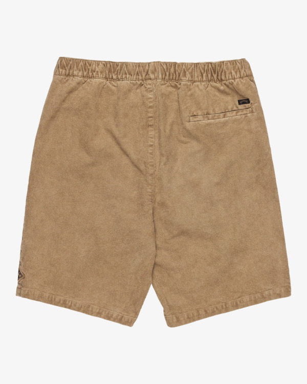 1 Larry 20" - Short de marche à taille élastique pour Homme Marron EBYWS00128 Billabong