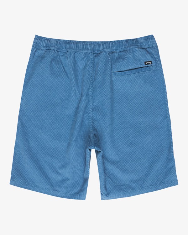 1 Larry 20" Vert EBYWS00128 Billabong