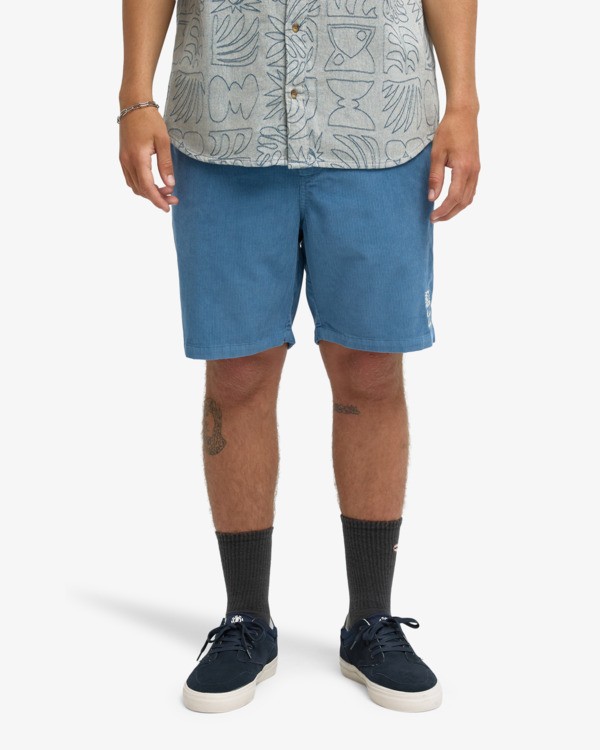 0 Larry 20" Bleu EBYWS00128 Billabong