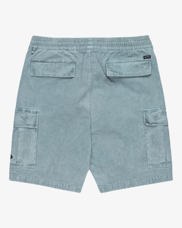 1 Larry 20" - Short de marche à taille élastique pour Homme Bleu EBYWS00129 Billabong