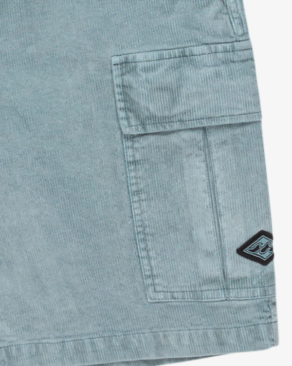 2 Larry 20" Blue EBYWS00129 Billabong