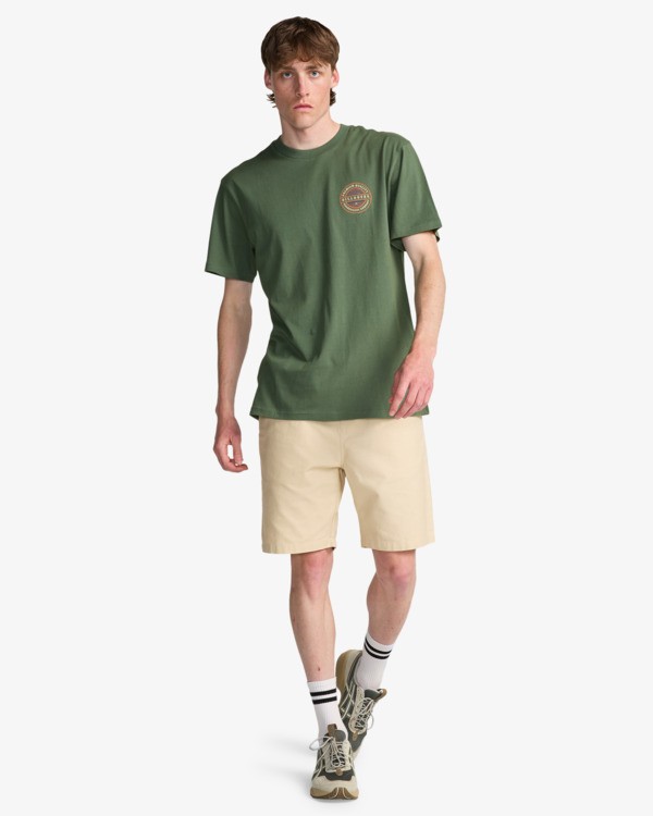 1 Larry Linen - Elasticated Shorts for Men White EBYWS00135 Billabong