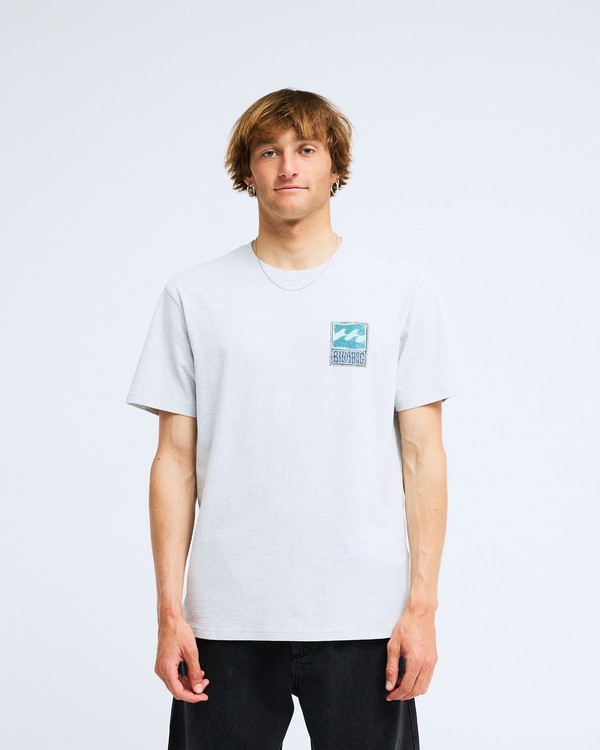 0 Stamp Gris EBYZT00293 Billabong