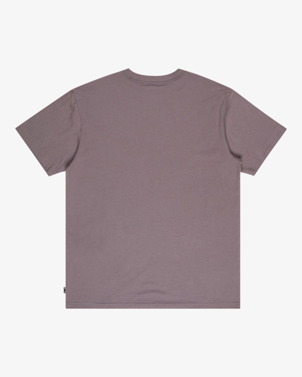 6 Arch Frame - T-Shirt für Männer Grau EBYZT00341 Billabong