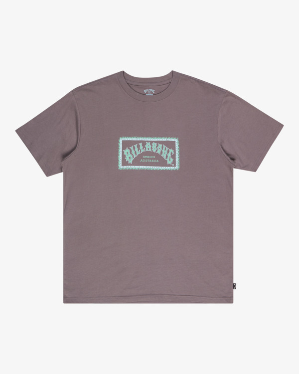 5 Arch Frame - T-Shirt für Männer Grau EBYZT00341 Billabong