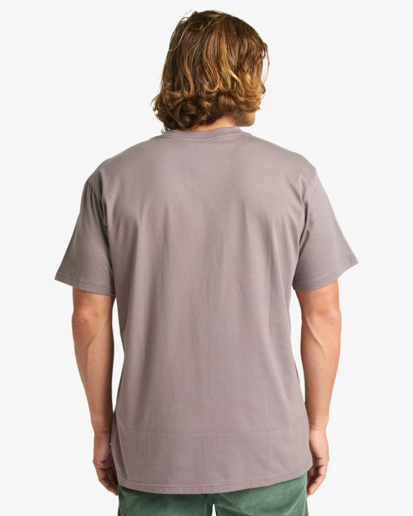 1 Arch Frame - T-Shirt für Männer Grau EBYZT00341 Billabong