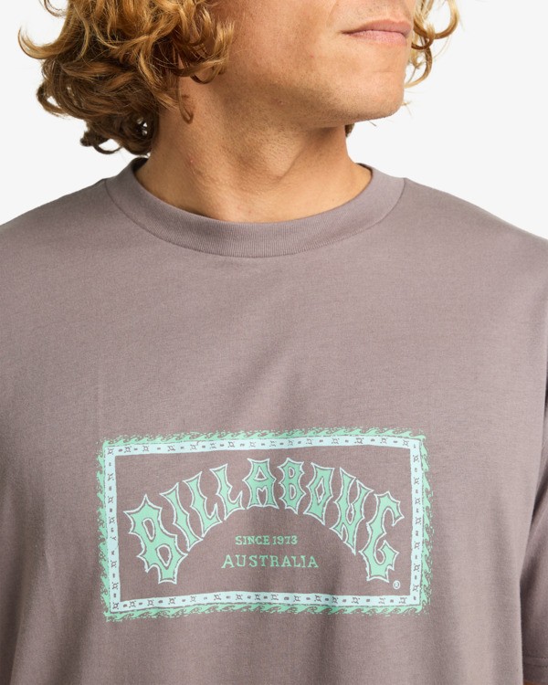 4 Arch Frame - T-Shirt für Männer Grau EBYZT00341 Billabong