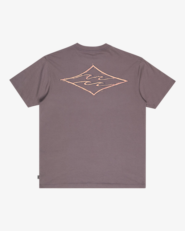 6 Crayon Wave - T-Shirt à manches courtes pour Homme Gris EBYZT00357 Billabong