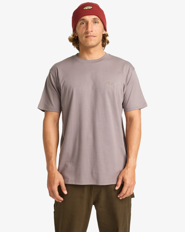 0 Crayon Wave - T-Shirt à manches courtes pour Homme Gris EBYZT00357 Billabong