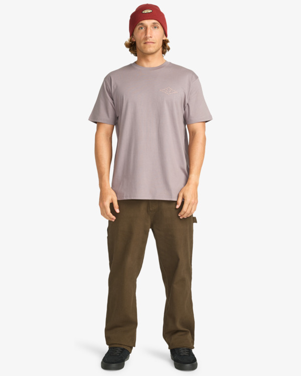 2 Crayon Wave - T-Shirt à manches courtes pour Homme Gris EBYZT00357 Billabong