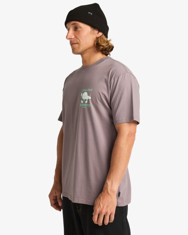 3 Gimmicks - Maglietta a maniche corte da Uomo Gray EBYZT00363 Billabong