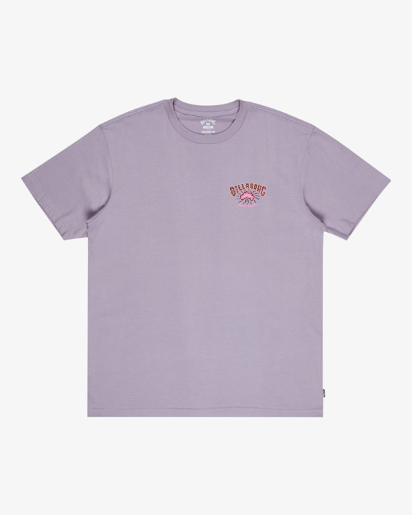 5 Origin - Short Sleeve T-Shirt for Men Purple EBYZT00365 Billabong