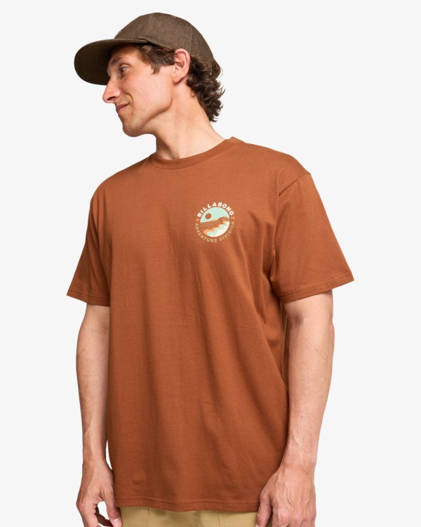 3 Rockies - Short Sleeve T-Shirt for Men Brown EBYZT00380 Billabong