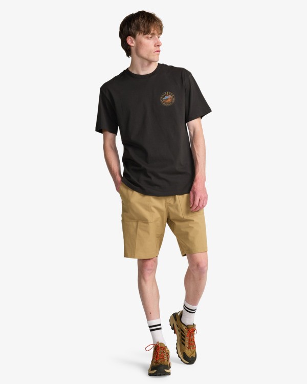 2 Rockies - Short Sleeve T-Shirt for Men Blue EBYZT00497 Billabong