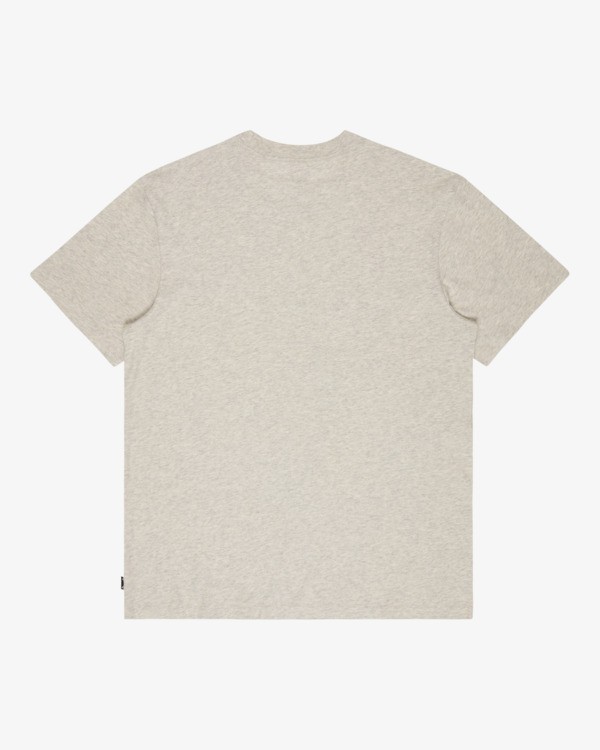 6 Icon Wave - T-shirt met korte mouwen voor Heren Gray EBYZT00575 Billabong