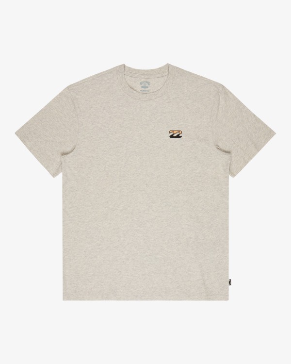 5 Icon Wave - T-shirt met korte mouwen voor Heren Gray EBYZT00575 Billabong