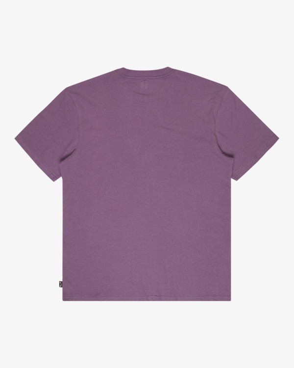 6 Icon Wave - T-shirt met korte mouwen voor Heren Purple EBYZT00575 Billabong