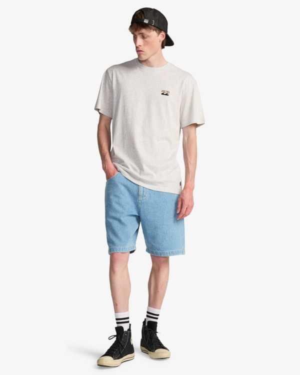 2 Icon Wave - T-shirt met korte mouwen voor Heren Gray EBYZT00575 Billabong